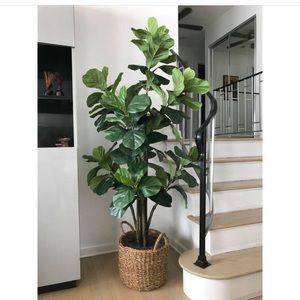 Meet your Posher, Anne